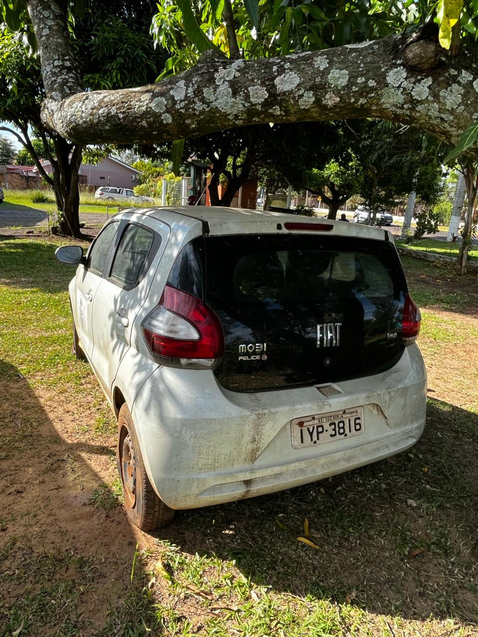 Foto 4