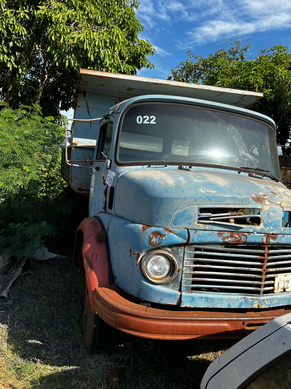 Foto 5