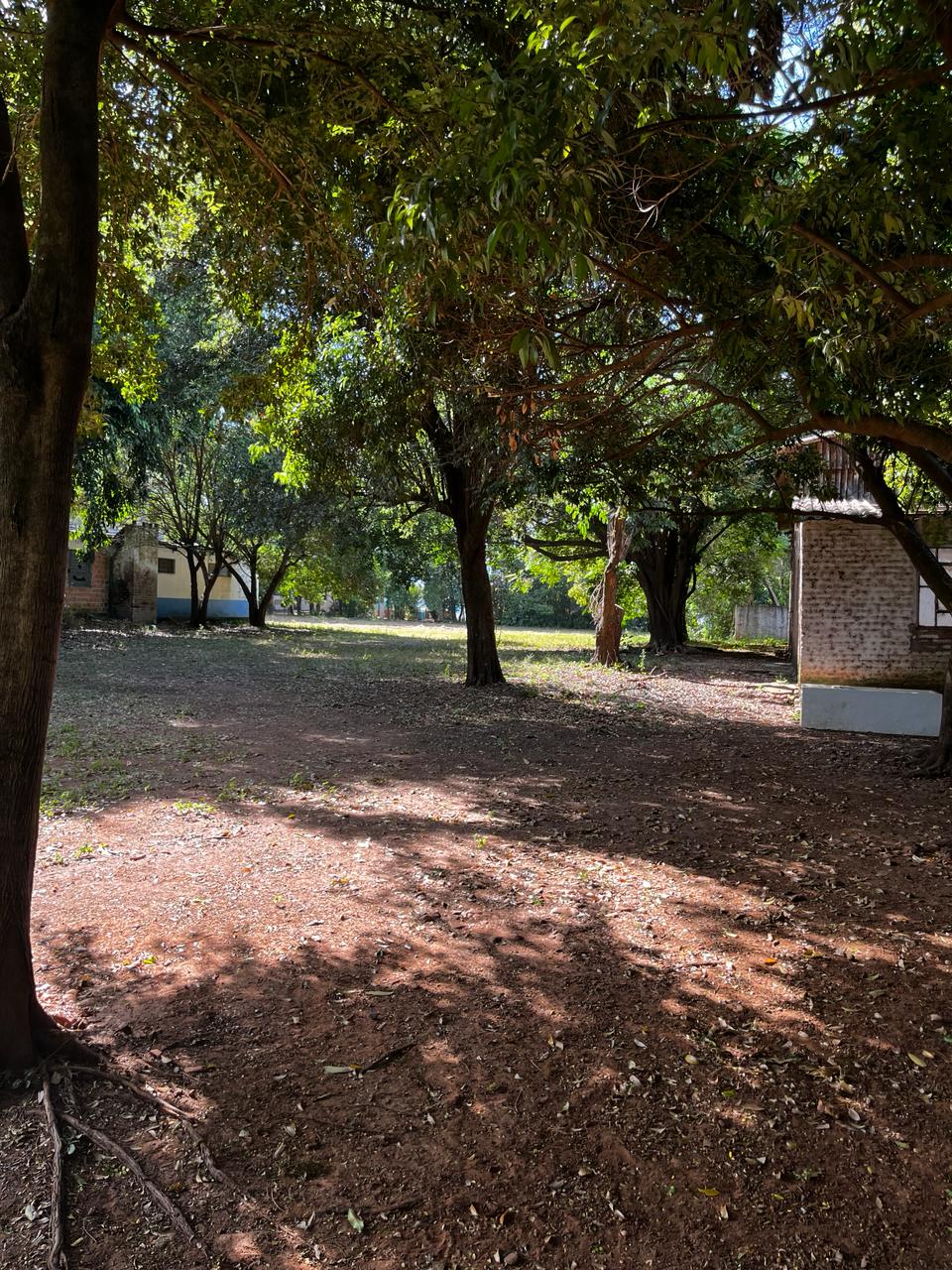 Foto 12
