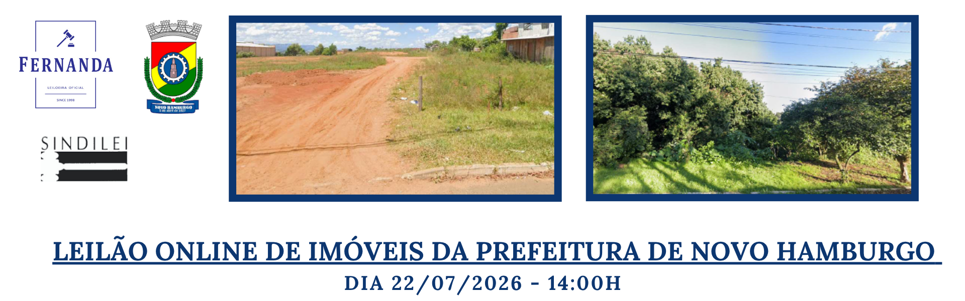 leilão nh 2026